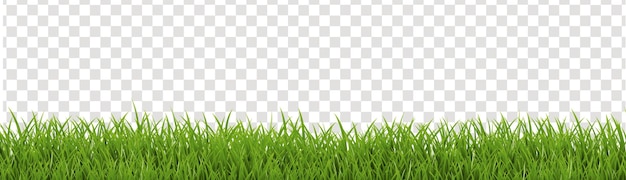 Vector erealisticgrassborderwithisolatedtransparentbanner_10_230401