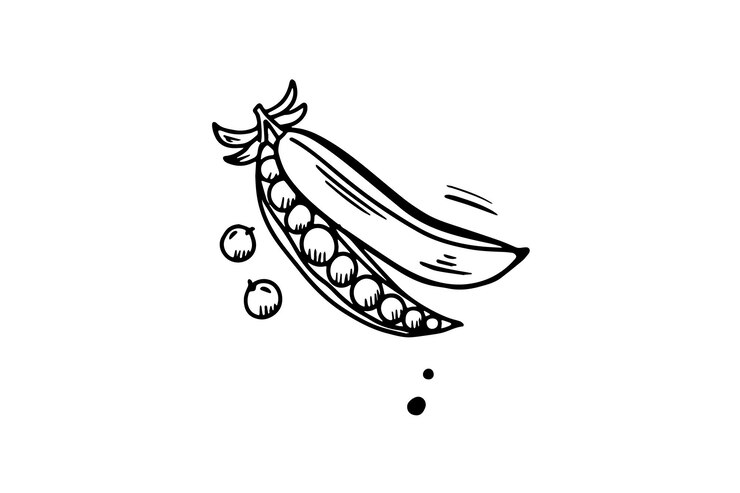 Erwten getekend met een zwarte omtrek Vector graphics