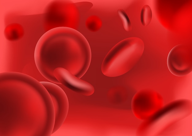 Erythrocyte or red blood cells illustration