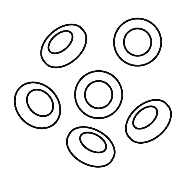 Erytrocyten in bloedvat