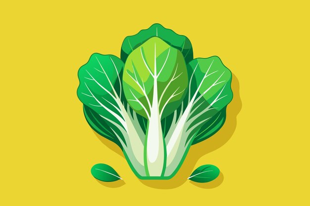 Vector escarole vegetable background