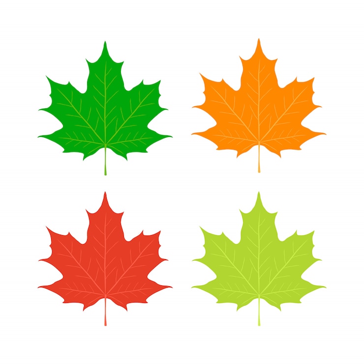 Vector esdoornbladeren, het symbool van canada. rode, oranje, gele esdoorn
