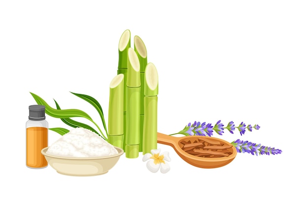 ベクトル essential oil bamboo and aromatic bath salt as spa treatment vector composition