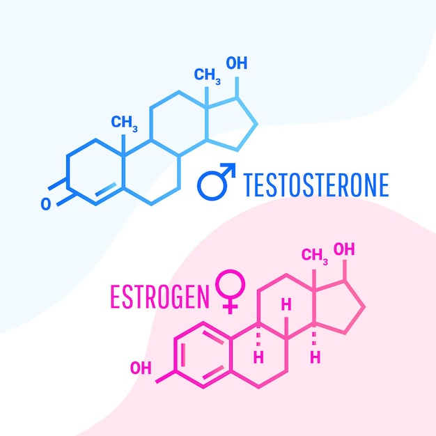 Вектор Молекулярная формула гормонов эстрогена и тестостерона с жидкими формами жидкости на белом фоне ве ...