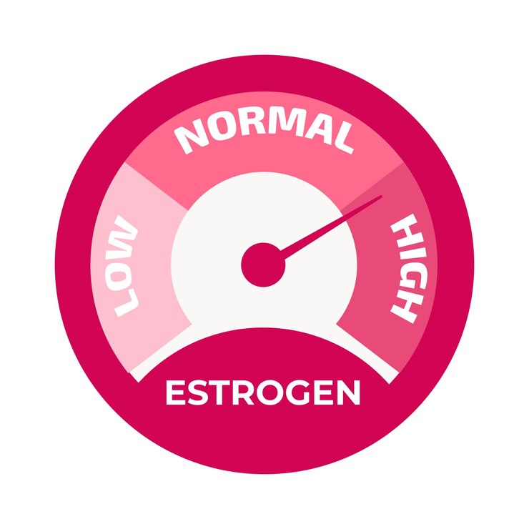 Vector estrogen level meter vector illustration