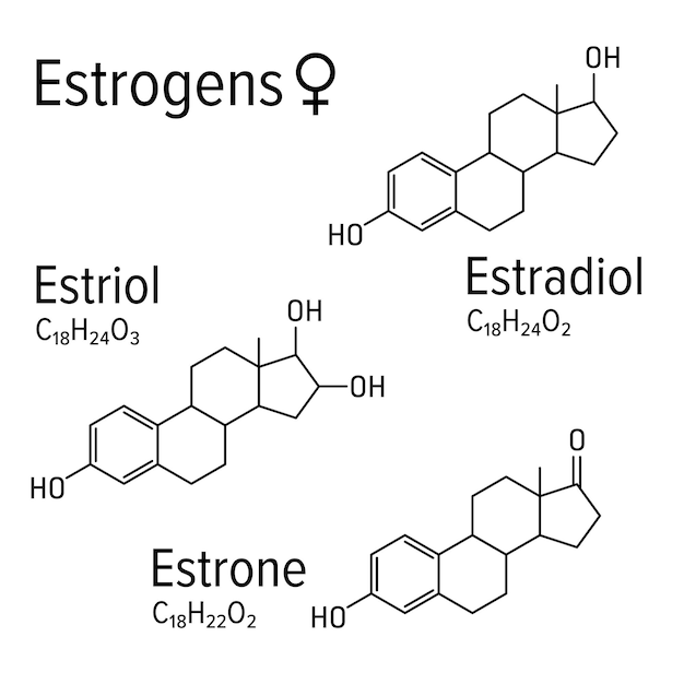 Vettore estrogeni ormoni femminili vettore formule molecolari chimiche