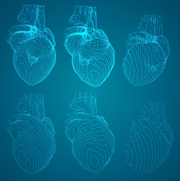 Vettore et di contorni sotto forma di esame del cuore
