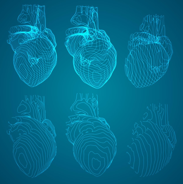 Vector et of outlines in the form of a heart examination