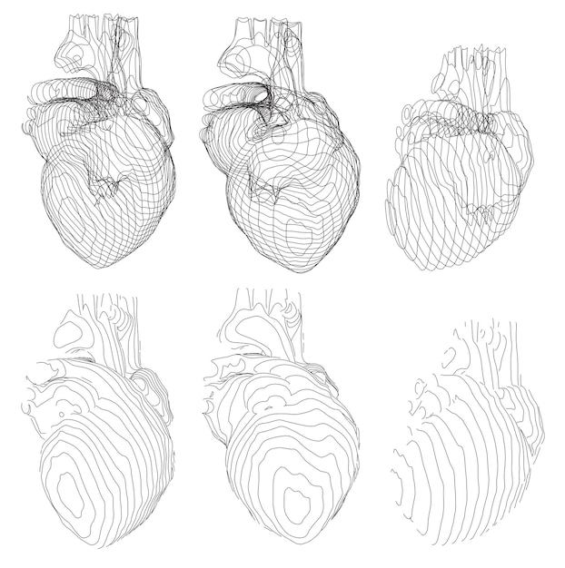 Vector et van contouren in de vorm van een hartonderzoek