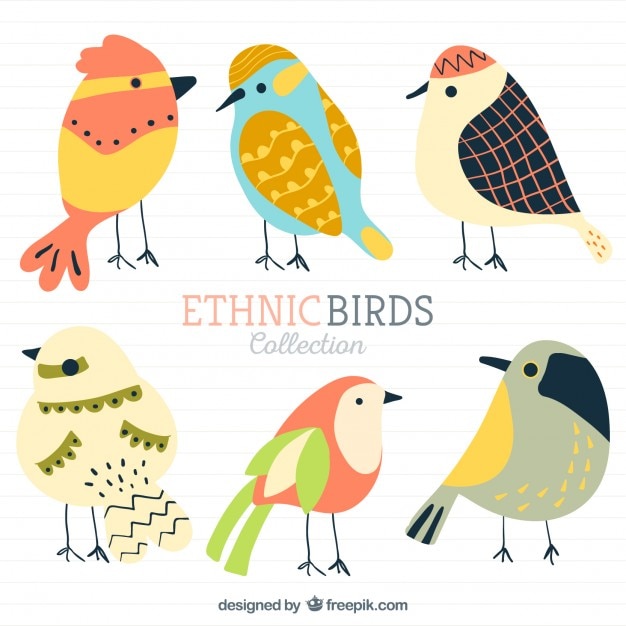 ethnic birds