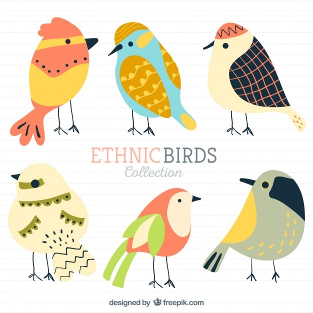 Vector ethnic birds