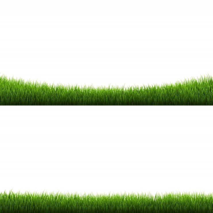 Vector etwogreengrassframessetisolatedwhitebackground