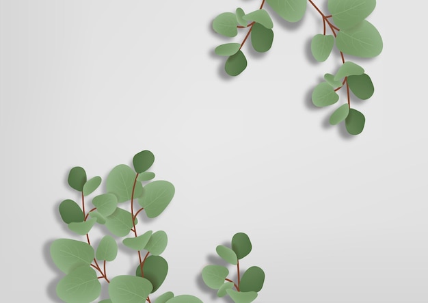 Vector eucalyptus background vector, plant banner, minimalist design