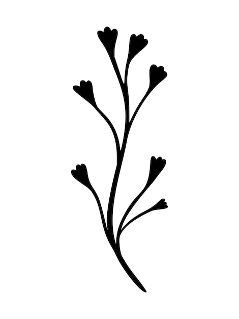 Eucalyptus blad vectorillustratie. Floral hand getekende tak, lineair element. Boho elegante bladeren geïsoleerd op een witte achtergrond. Eucalyptus gebladerte silhouet, zeer fijne tekeningen. Doodle gras pictogram.