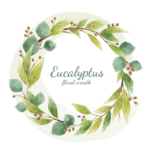 Vector eucalyptus bloementakken en bladeren ronde krans. het ontwerpelement van kaarten dat op wit wordt geïsoleerd. aquarel stijl