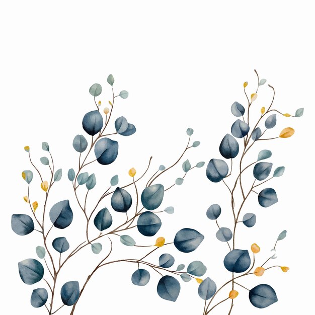 Premium Vector | Eucalyptus branches border