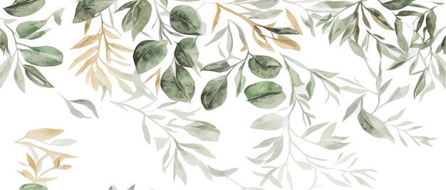 Vettore rami di eucalipto semi e foglie disegnato a mano bouquet di eucalyptus isolato su sfondo bianco