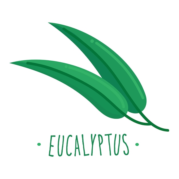 Vector eucalyptus icon clipart isolated vector illustration