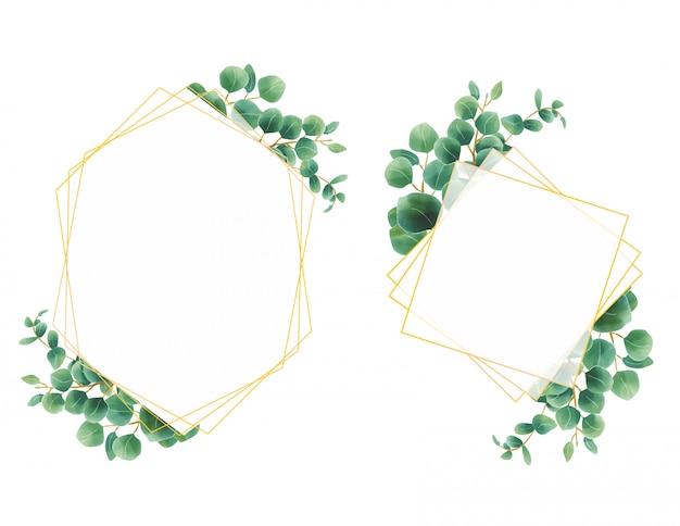 Eucalyptus leaf frame style watercolor