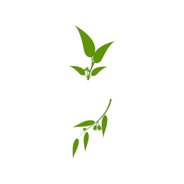 Vector eucalyptus leaves logo vector template design illustration