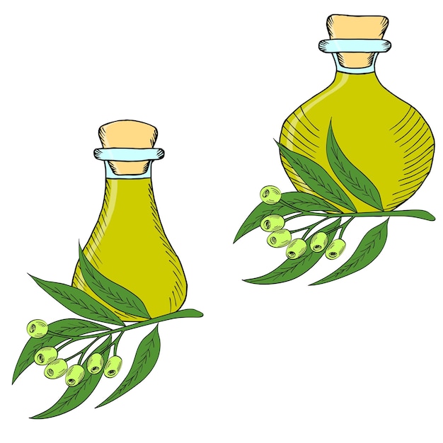 Eucalyptus oil bottles set