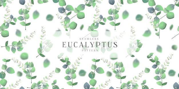 Eucalyptus seamless pattern