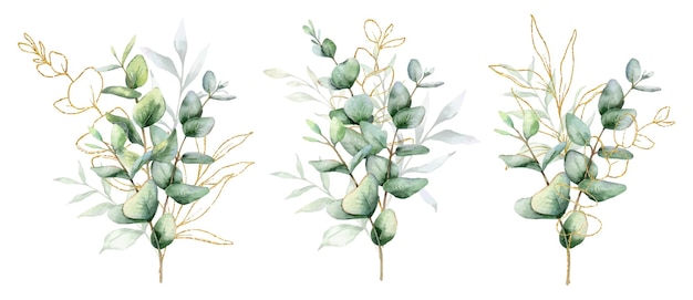 Vector eucalyptus watercolor illustration hand panted eucalyptus greenery