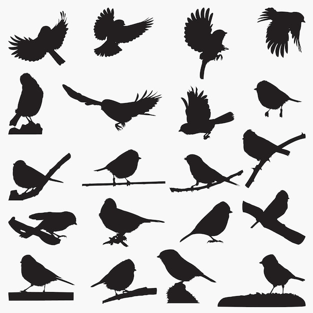 Vector eurasian blue tit bird silhouettes