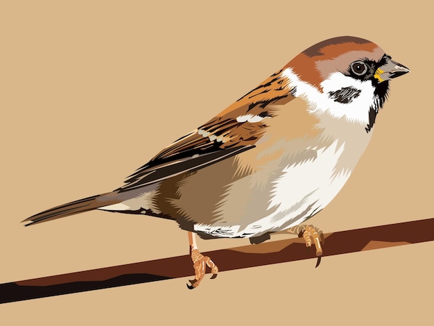 Vector eurasian tree sparrow bird vector illustration