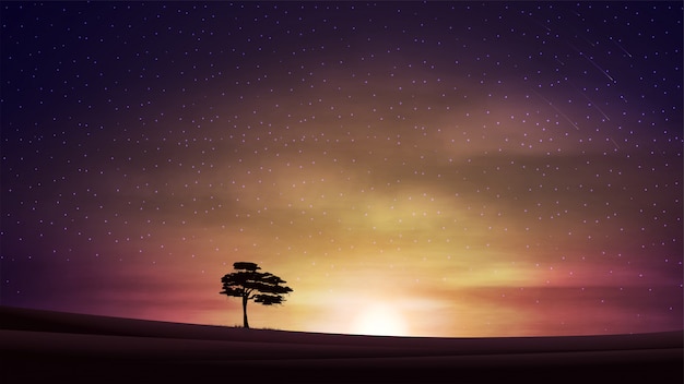 Vettore paesaggio serale con tramonto arancione, cielo nuvoloso stellato, campi puliti e albero solo all'orizzonte.