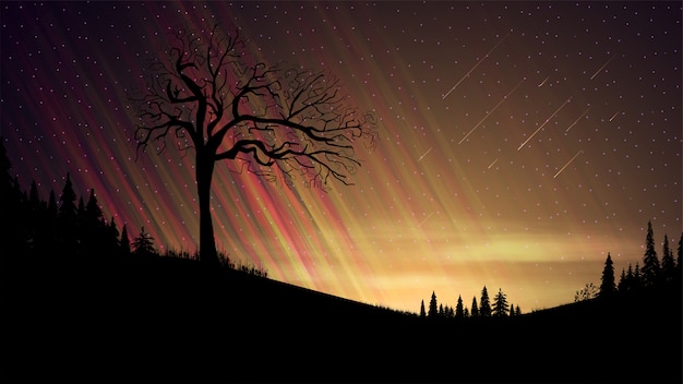 Evening landscape with orange sunset, starry sky, clouds, fields with coniferous trees and old alone tree on front ground