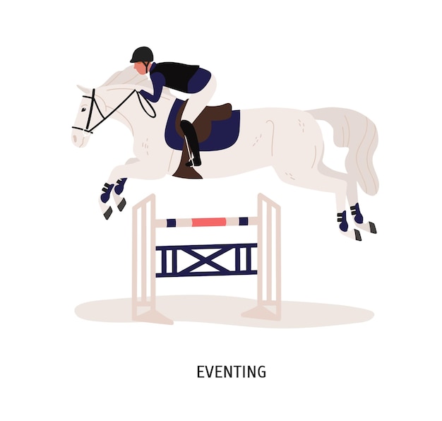 Vector eventing, equestrian competition flat illustration. horse rider, horseman cartoon character