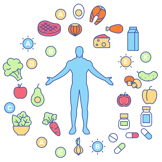 Vector evenwichtige gezonde voeding en voedingssupplementen concept iconen wellness biohacking vitamine dieet en gezondheidsverbetering vector