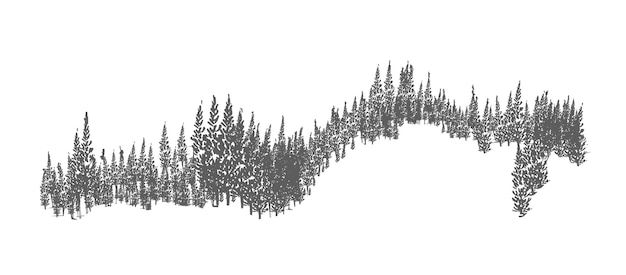 Evergreen forest or woodland landscape with silhouettes of coniferous trees growing on hills. hand drawn natural monochrome decorative element isolated on white background. vector illustration.