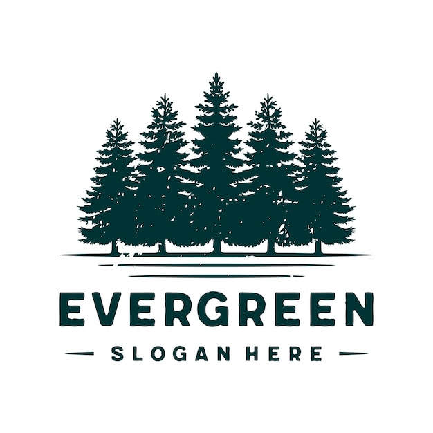 Vector evergreen, pine trees logo design template vector