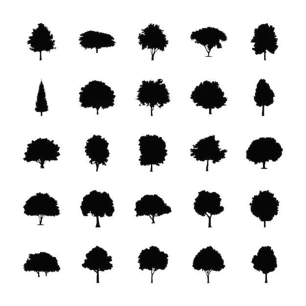 Evergreen Solid pictograms