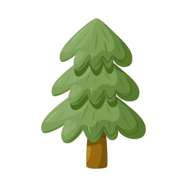 Evergreen tree fir tree pine drawing vector cartoon illustration