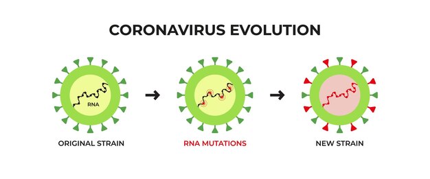 Evolutie van het coronavirus Oorspronkelijke stam met RNA-mutaties wordt nieuw