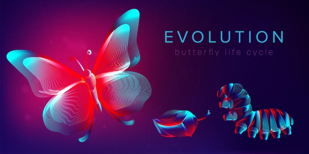 Evolution of a butterfly life cycle horizontal banner. 3D vector illustration with abstract stereo neon silhouettes of insects: caterpillar, pupa and butterfly. Metamorphosis concept in line art style