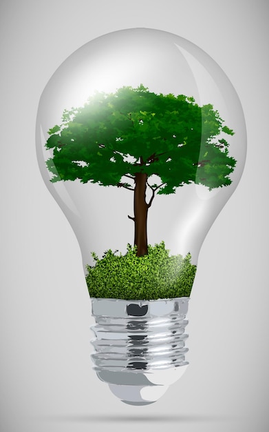 evolution of the concept of greening of the world.