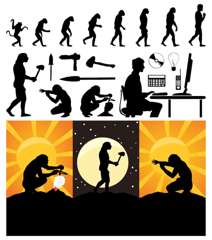 Vector evolution of the person