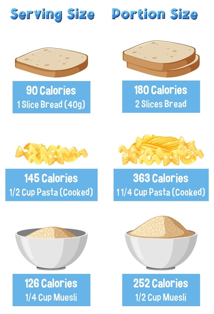 Vector evolution of portion sizes then and now