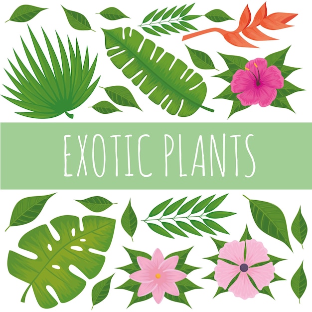 Exoten planten collectie