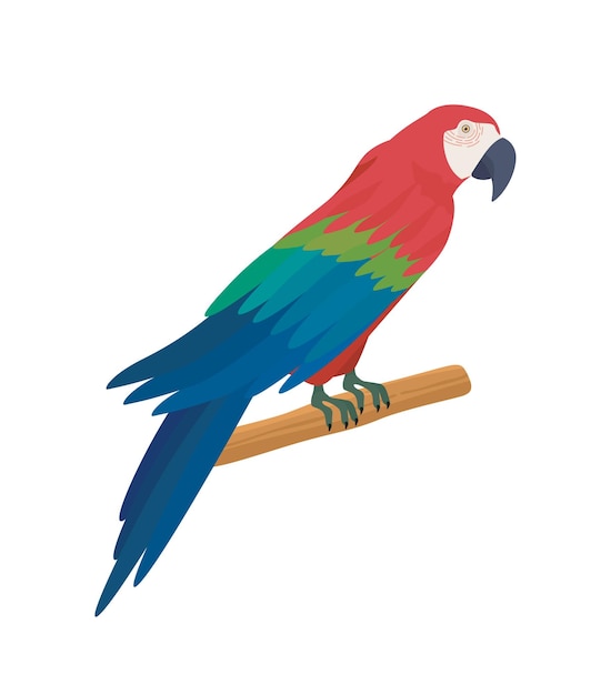 Экзотическая птица на ветке концепция животного с красным синим и зеленым перьем тропической фауны и дикой природы