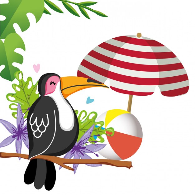 Exotic bird and summer