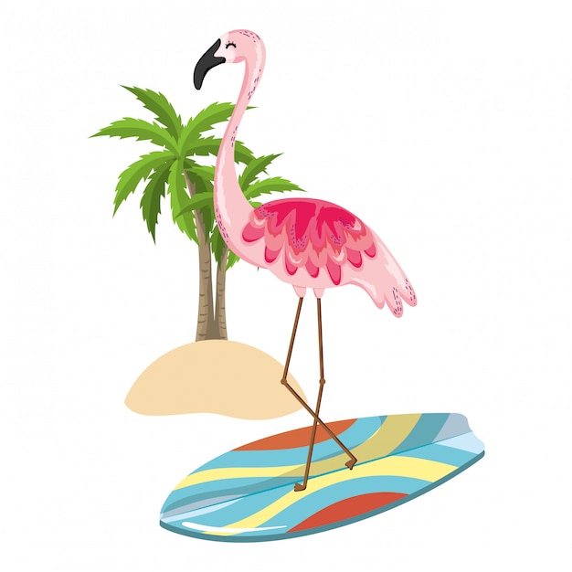 Exotic bird and summer