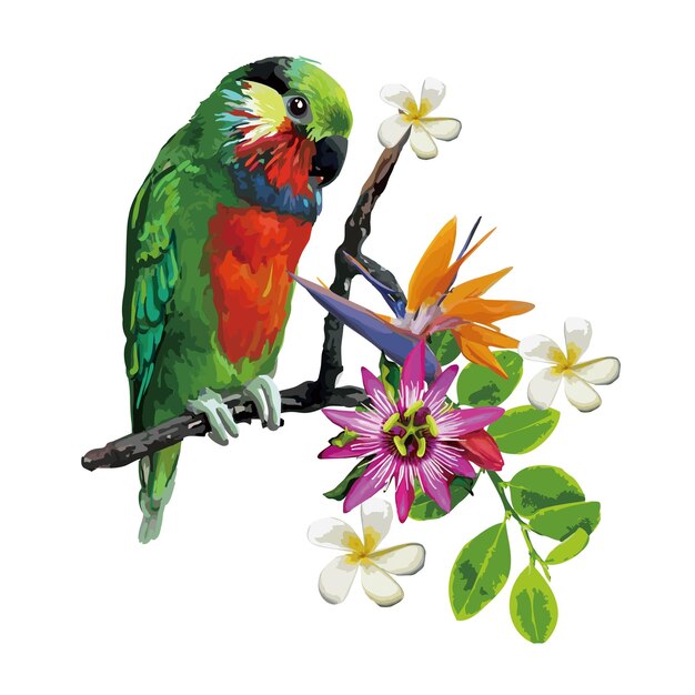 Vector exotic birds and beautiful flowers