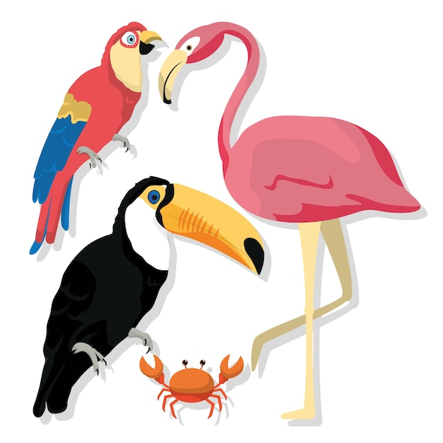 Exotic birds cartoons