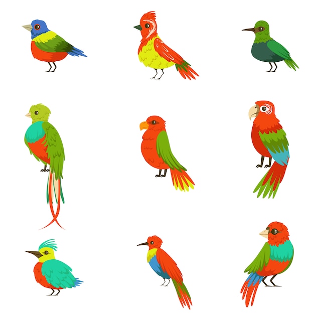 Экзотические птицы из джунглей тропических лесов набор красочных животных, включая виды райских птиц и попугаев