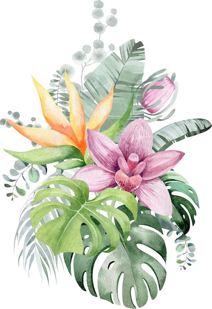 Vector exotic bouquets of tropical flowers and leaves